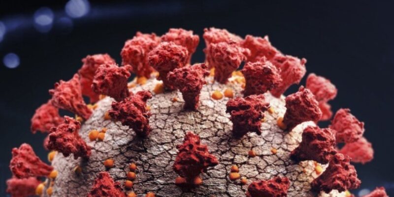 Dynamic charts and graphs demo page